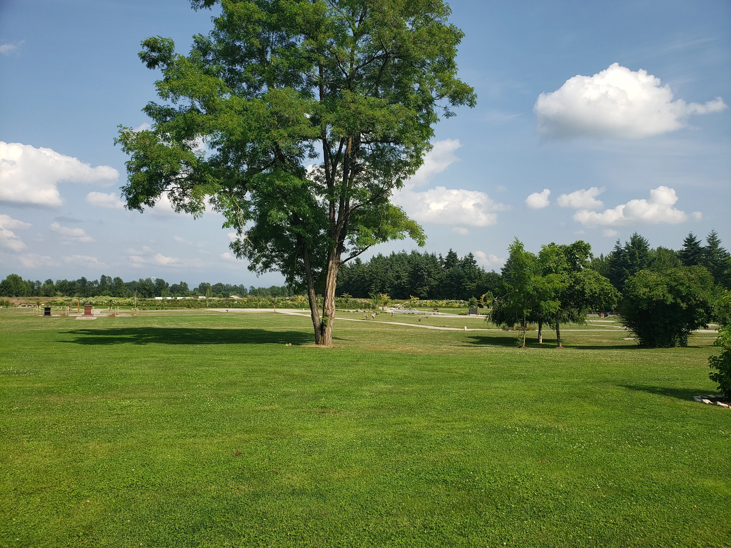 bakerview trees