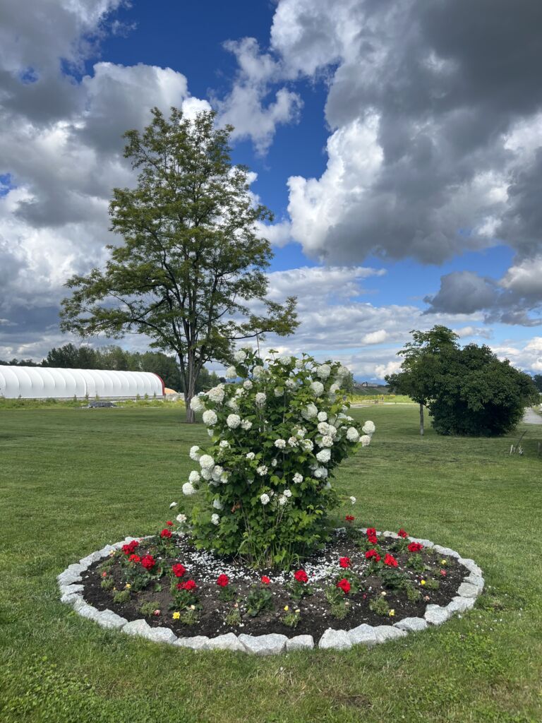 Pre-Planning Your Langley Burial